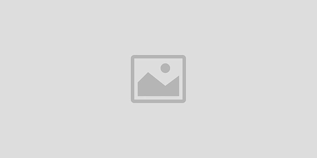 盟优严选-汽车出口 Alliance Excellence and Strict Selection - Automobile Export